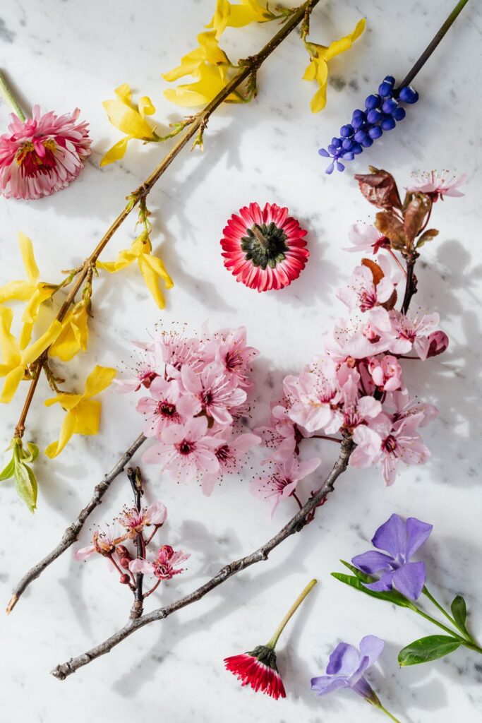 las flores y sus aromas pueden modificar nuestro estamos de ánimo